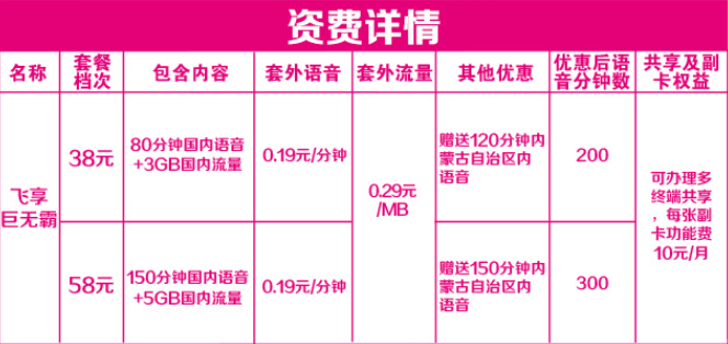 飞享巨无霸套餐