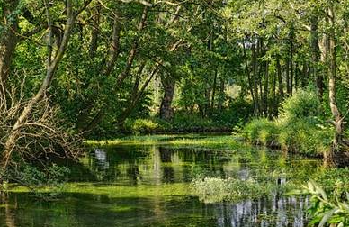 选号码怎么注意风水!