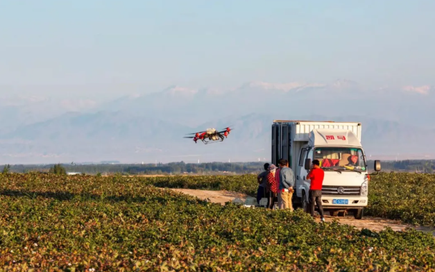 中国电信助力新疆棉花大丰收!