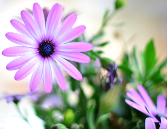 精选风水能量号码1349、41319、141319