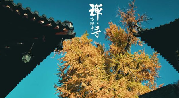 手机靓号选号的四个误区，你知道的吗？