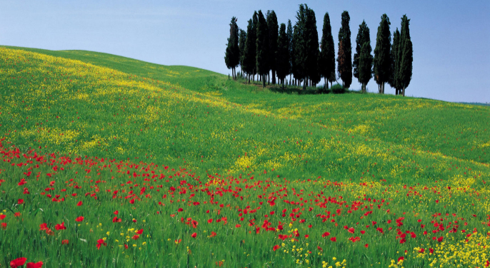 从手机号看一个人的性格运势