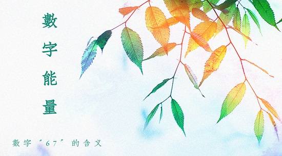 数字能量课堂：数字“67”的含义