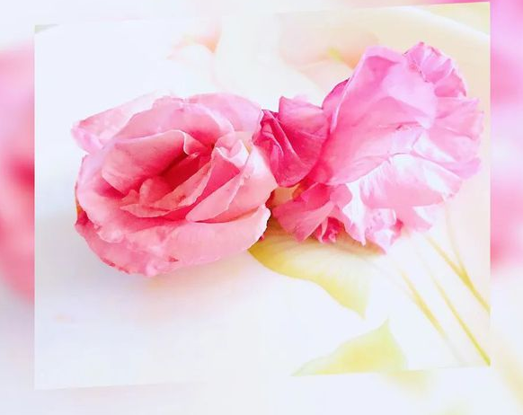 手机靓号知识科普