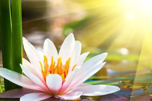 手机号码吉祥号怎么选 怎样选择称心吉祥的手机号