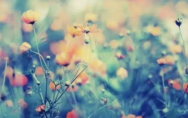 手机一直自动重启是怎么回事的呢