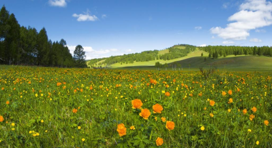 使用5G网络需要更换5G卡的吗