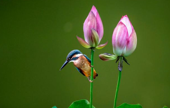 165号段有什么缺陷 165号段不建议买的原因