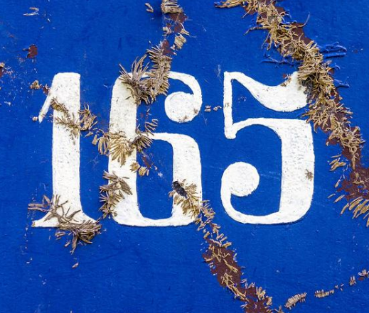 虚拟运营商165号段的详情介绍