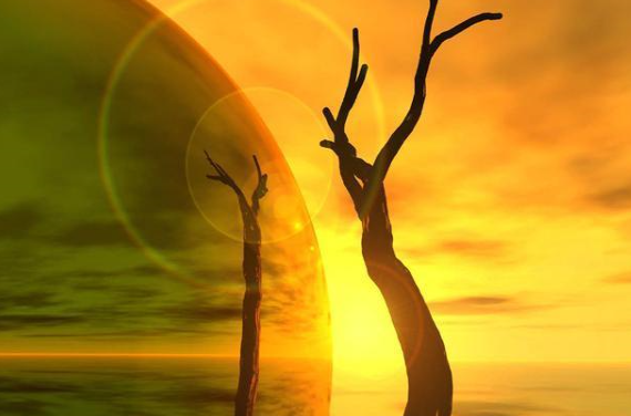 手机号码豹子号是指什么