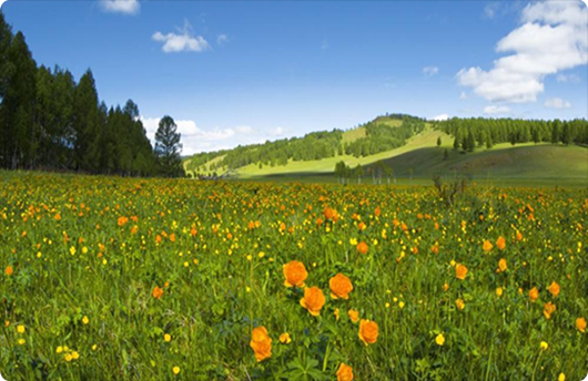 165开头的是什么电话 为什么使用165手机号段的人非常少