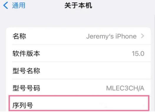 苹果电话技术支持是什么如何应用iphone电话技术支持服务