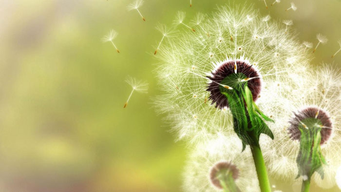 手机号码18222666000的吉凶信息，号令天下手机测吉凶