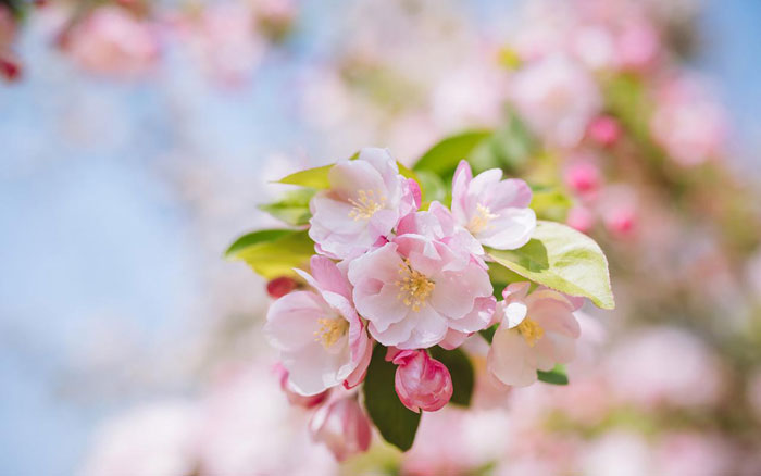 手机靓号15707310011手机号码吉凶详解-超准手机号码吉凶查询