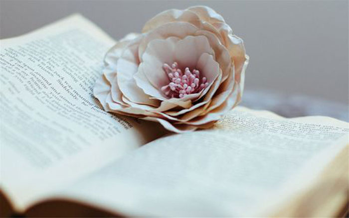 女人梦见掉牙齿是什么意思(女人梦见掉牙齿的梦境解析)