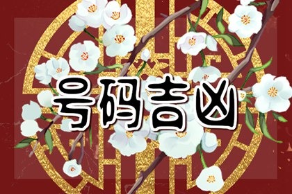 手机号码测吉凶18162777777测算结果解析重测