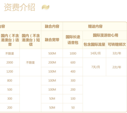 全球通无限尊享套餐 全球通无限尊享套餐